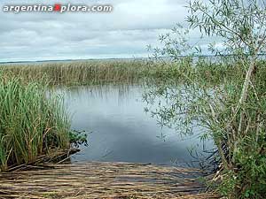 "Iberá Wetlands" - Corrientes